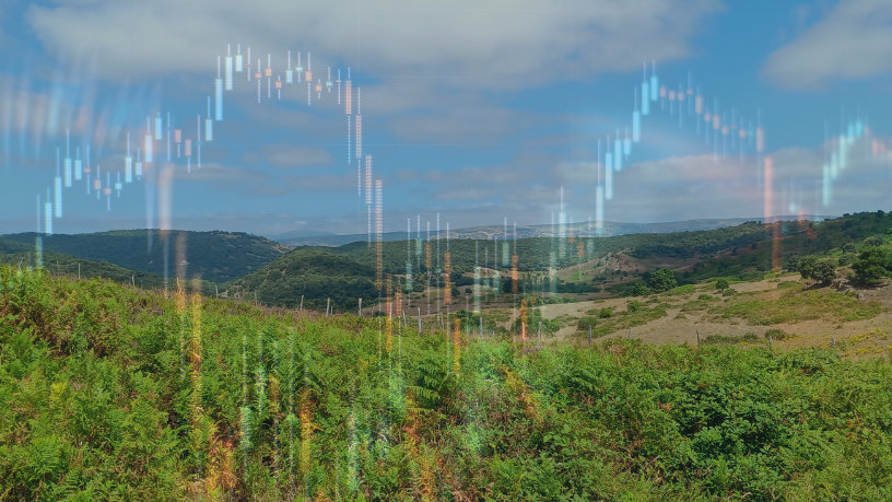 O mercado do café e seus reflexos no dia a dia dos consumidores analisados por Aldo Vendramin.