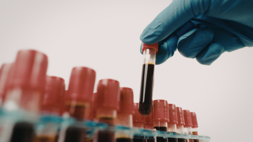 Vinicius Tadeu Sattin Rodrigues